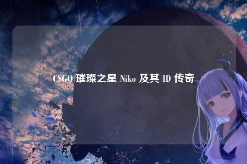 CSGO 璀璨之星 Niko 及其 ID 传奇
